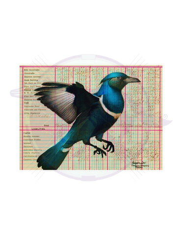 Magpie - Halcyon Levi