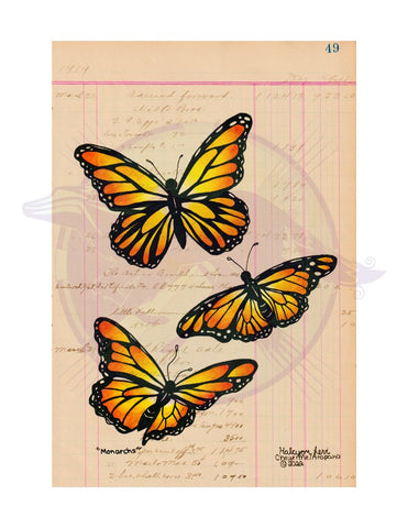 Monarchs - Halcyon Levi