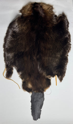Beaver Hide