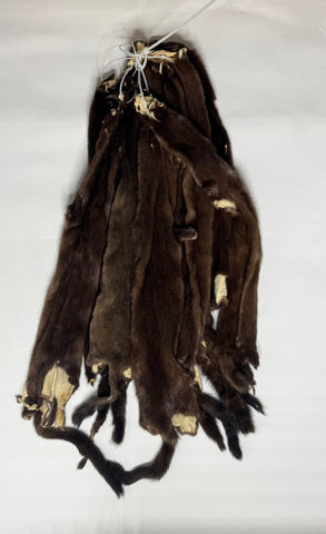 Otter Furs (Pair)