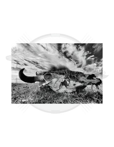 Return - George Levi